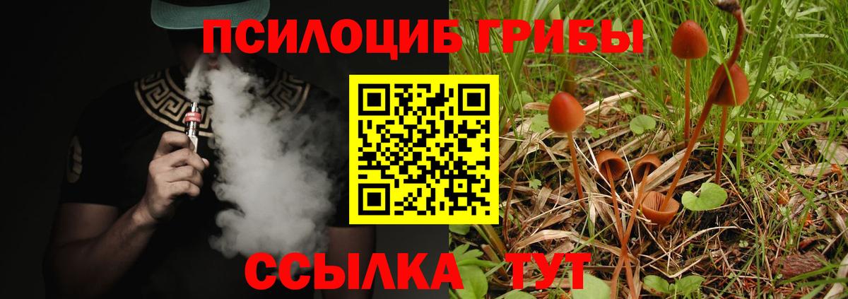 Псилоцибиновые грибы Psilocybine cubensis  где купить   Псилоцибиновые грибы мицелий  Лысьва 